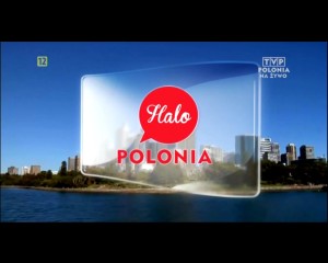 Halo Polonia Praca w Holandii 12