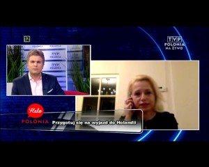 Halo Polonia Praca w Holandii 5
